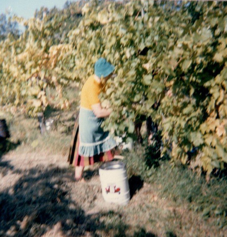 img20210719_15580180_0003