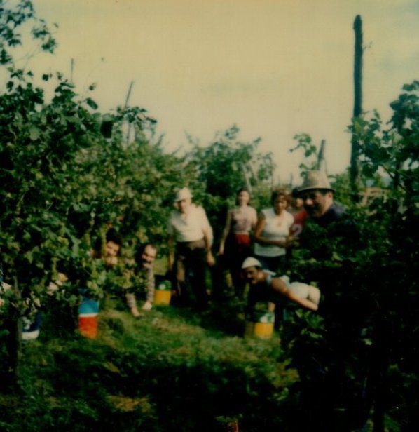 img20210719_15580190