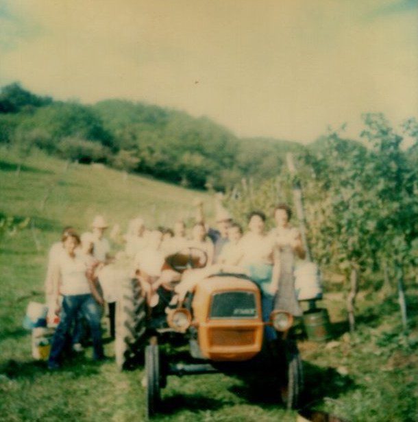 img20210719_15580193