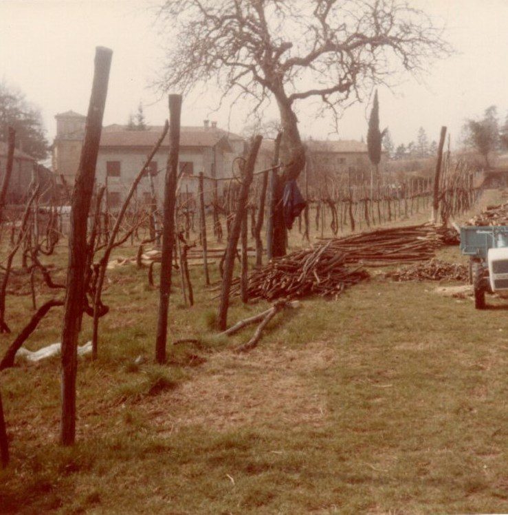 img20210719_15580215